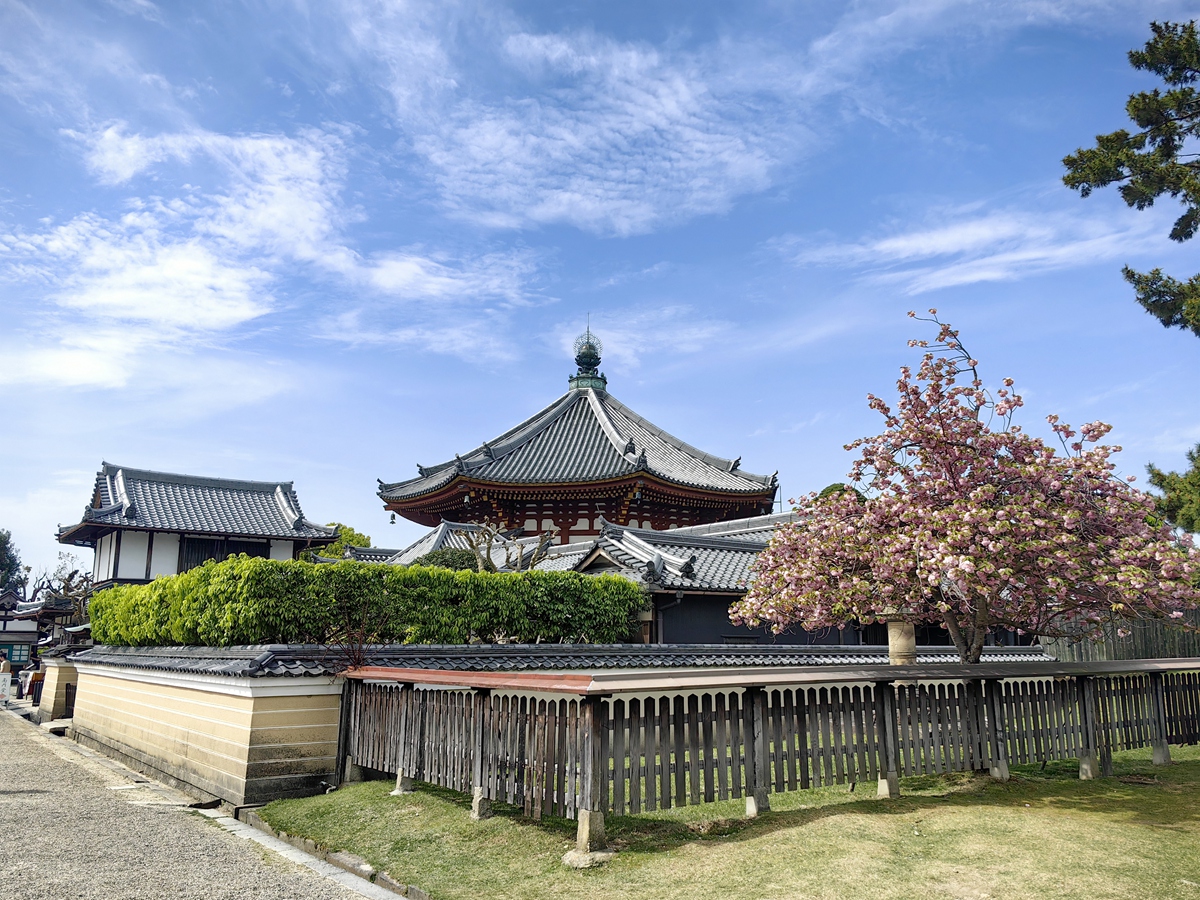 第九番 興福寺 南円堂